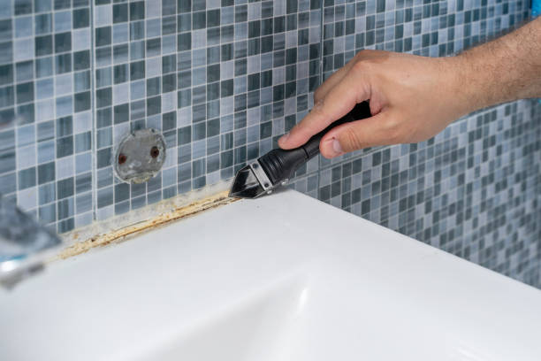 Best Office Mold Removal Services  in Middletown, PA